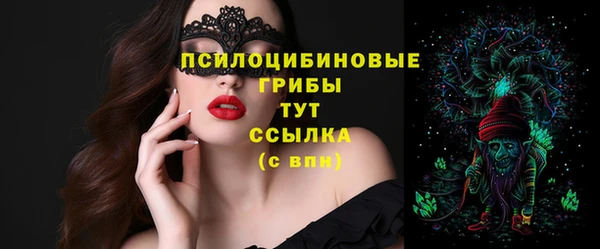 МДПВ Козельск