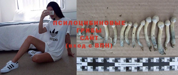 соль ск Кодинск