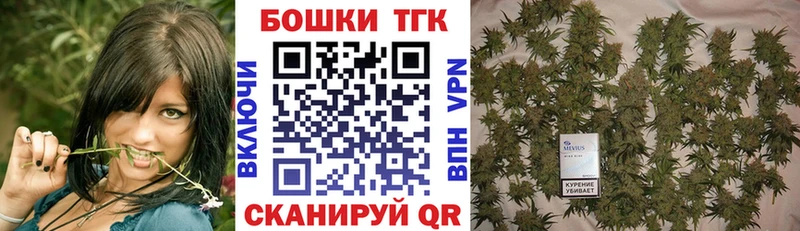 Купить закладки  Долгопрудный  Марихуана сатива 